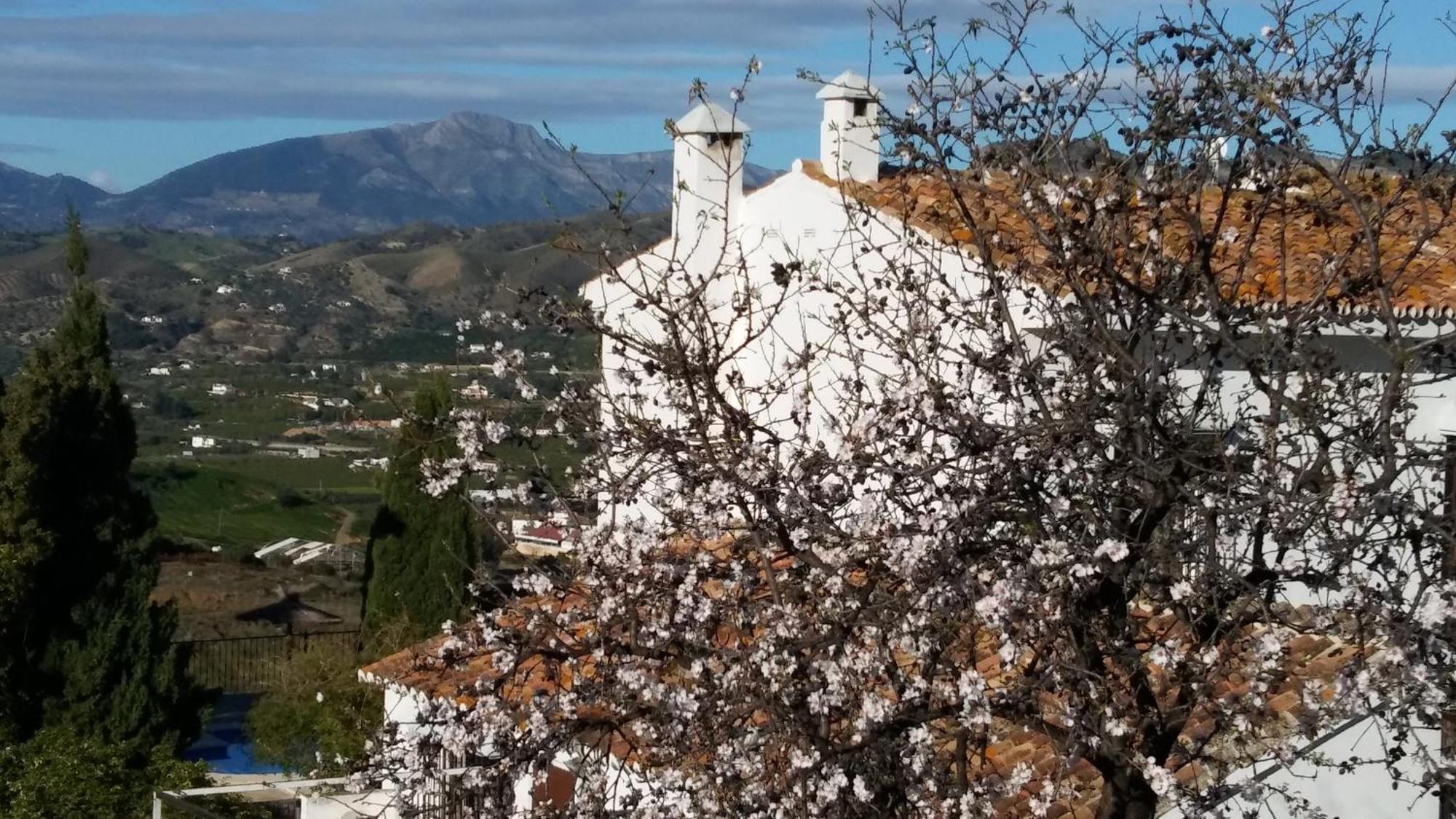 B&B Casa Domingo Álora Zewnętrze zdjęcie